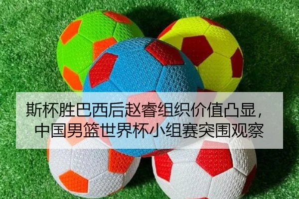 si-bei-sheng-ba-xi-hou-zhao-rui-zu-zhi-jia-zhi-tu-xian-zhong-guo-nan-lan-shi-jie-bei-xiao-zu-sai-tu-wei-guan-cha-1-130.jpg